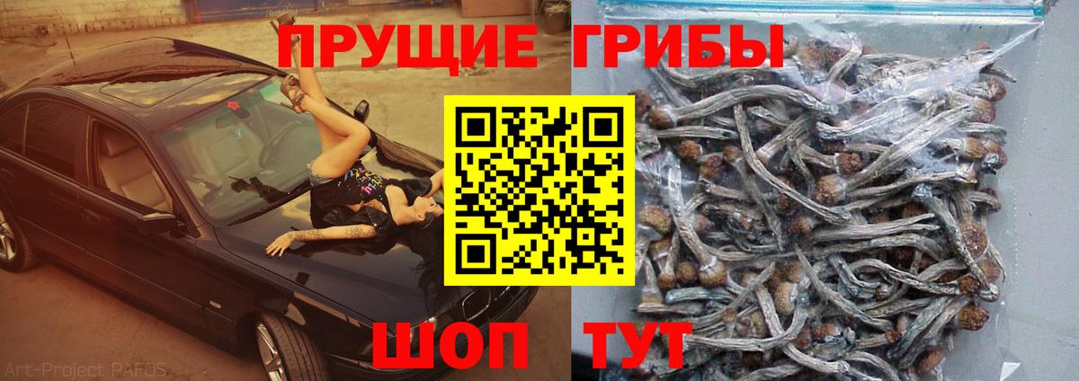 Можга  Галлюциногенные грибы MAGIC MUSHROOMS  Вход с VPN 